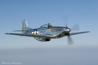 P-51 Survivor
