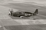 08_OldCrow_aa6816bws.jpg