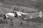 HMB8_2170seps.jpg