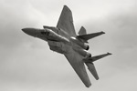LV6_5032s.jpg