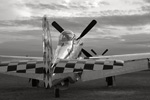 44-74446_3456s.jpg