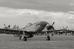OK6_6207s.jpg