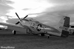 OSH-05_1631s.jpg