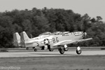 OSH-05_1835s.jpg