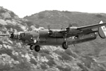 SD6_9198s.jpg