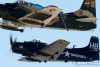 LV5_8469wt.jpg