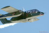 LV5_8473t.jpg