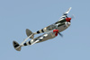 CH7_2827t.jpg