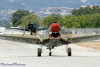 WW5_2816t.jpg