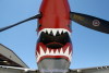 w.p40.cf1.1204t.jpg