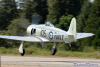 NC5_3464-2wt.jpg