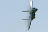 CH7_3009t.jpg