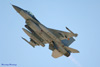 LV6_3409t.jpg