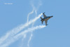 Nellis08_880t.jpg
