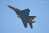 Nellis08_950t.jpg
