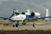 CHN_1221t.jpg