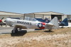 wt.T6.cf1.0595t.jpg