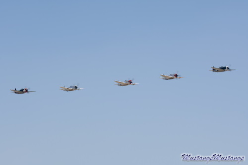 P-51 Mustang at Chino 2005