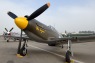 CH6_0478t.jpg