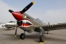 CH6_0491t.jpg