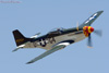 CH6_0962t.jpg