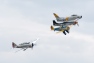 CH6_1343wpt.jpg