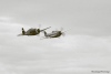 CH6_3852-bwt.jpg