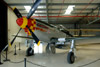 CN6_0280t.jpg