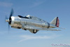 CN6_0340wt.jpg