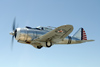 CN6_0358wt.jpg