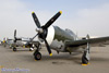 CH6_0484t.jpg