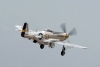 CH6_1474t.jpg