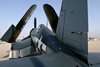 CH7_1492t.jpg