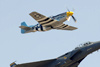 CH7_3038t.jpg