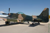 GM7_0098t.jpg