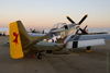 GM7_0459t.jpg