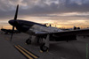 GM7_0555dt.jpg