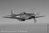 GML_0646bwt.jpg