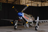 GM7_0309dt.jpg