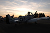 GM7_0957t.jpg