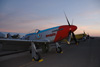 GM7_0985t.jpg
