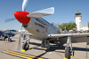 GM7_0025t.jpg