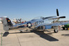 GM7_0067t.jpg