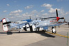 GM7_0208t.jpg