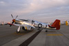 GM7_0569dt.jpg