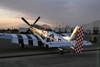 GM7_0583t.jpg