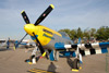 GM7_0690t.jpg