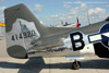 GML_CJL6002wt.jpg