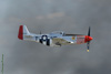 GML_1454t.jpg