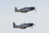 GML_2062t.jpg